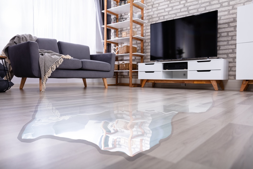 Actions to Protect Your Restored Wood Floor from Water Damage