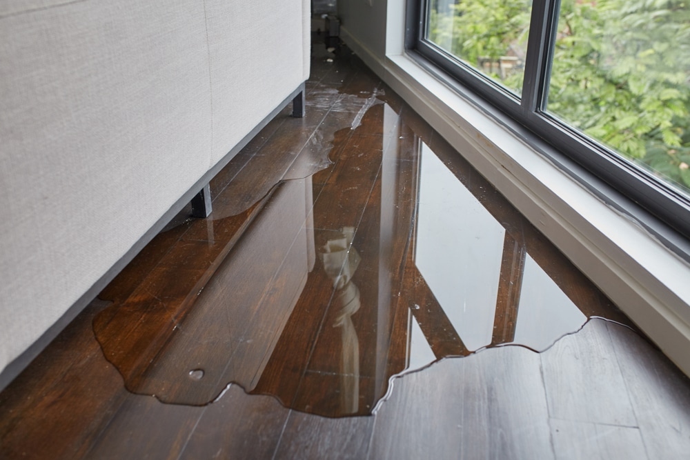 Top Tips for Preventing Water Damage and Maintaining Pristine Condition