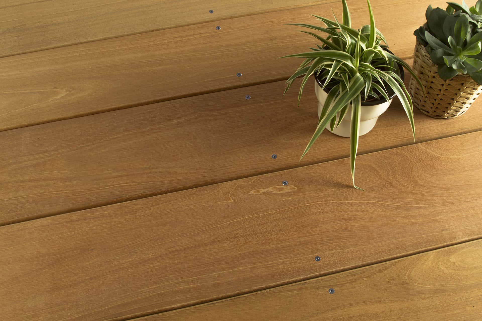 Bangkirai Hardwood: Nature’s Premium Flooring Option