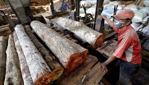 Indonesian Timber Initiative: A Green Future for Hardwood